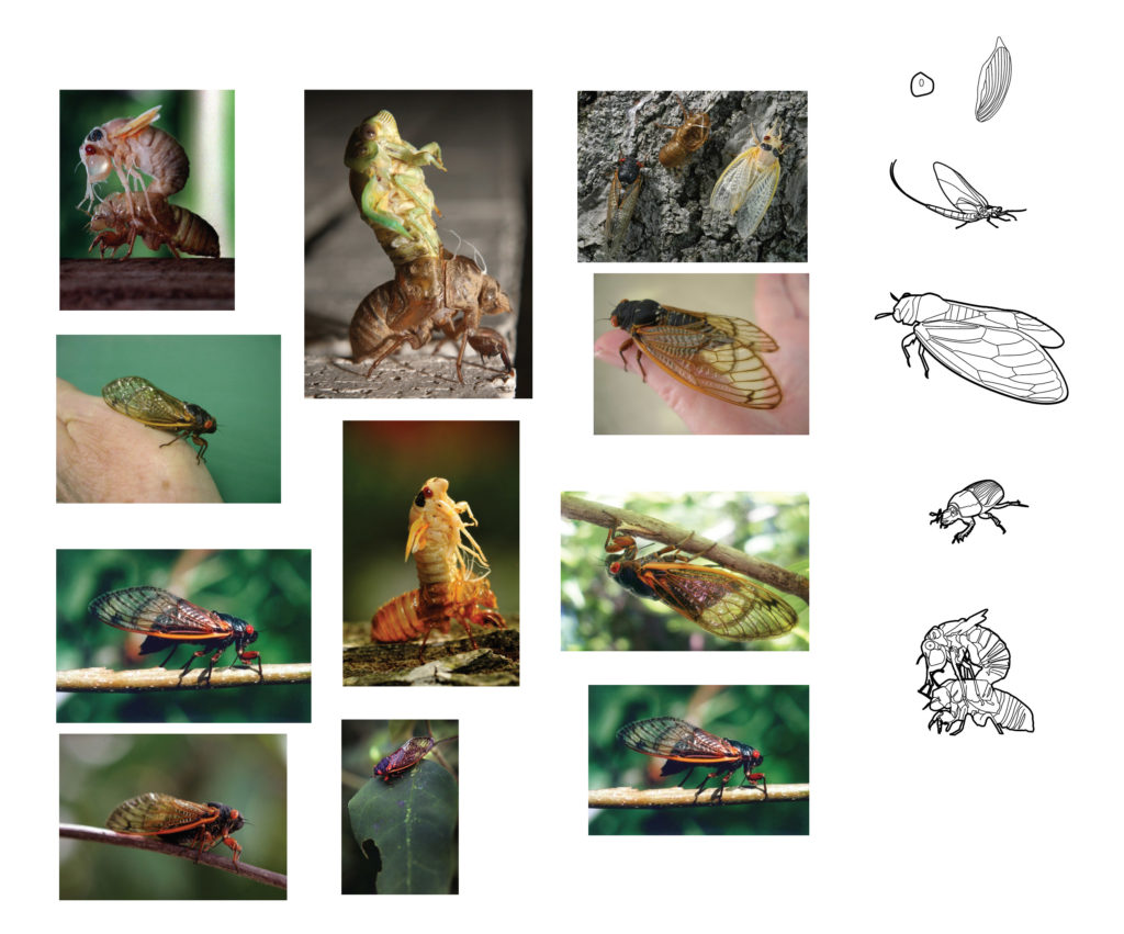 Working images