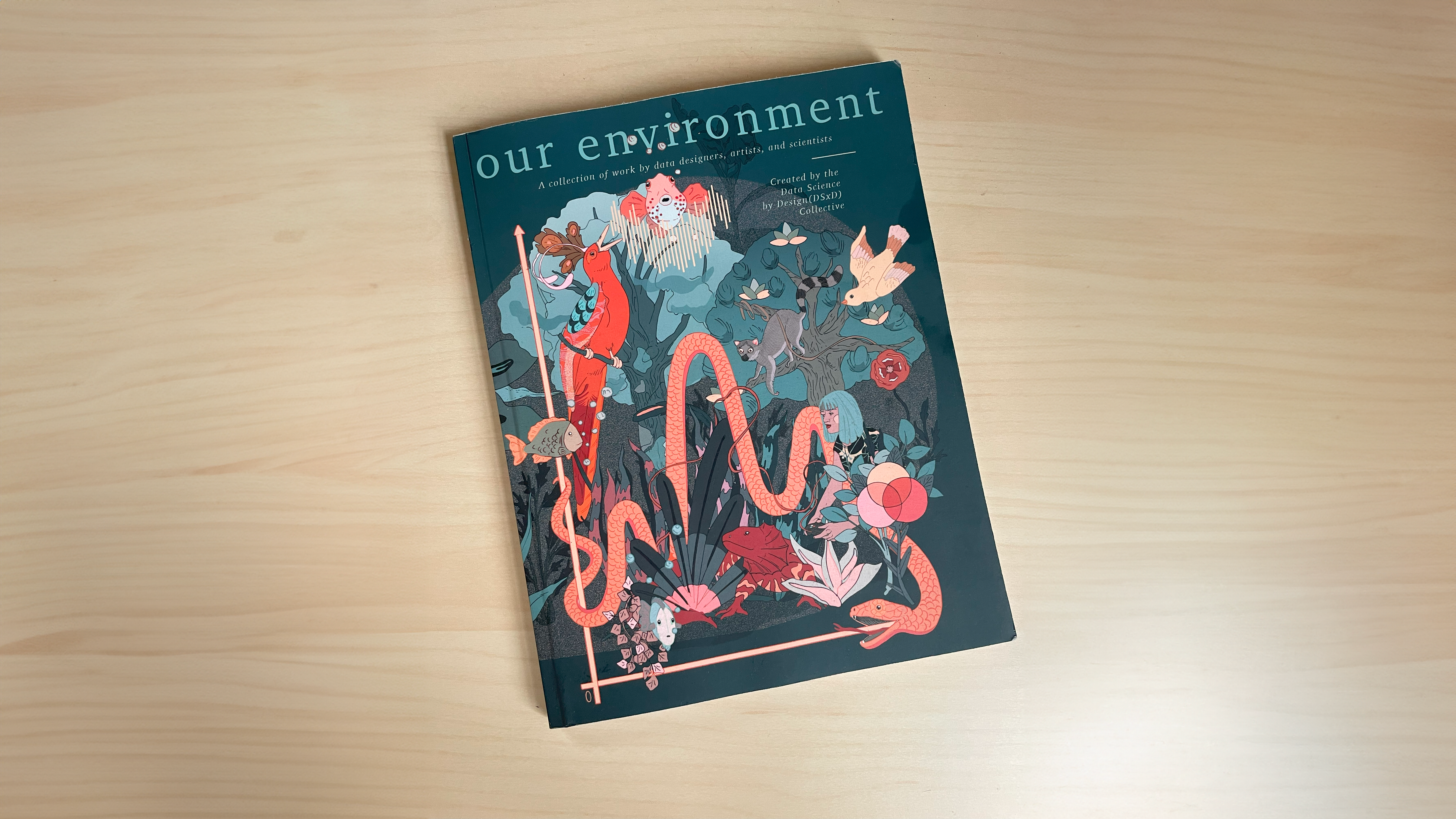 A highly illustrated book cover sitting on a wooden table with the title "our environment"