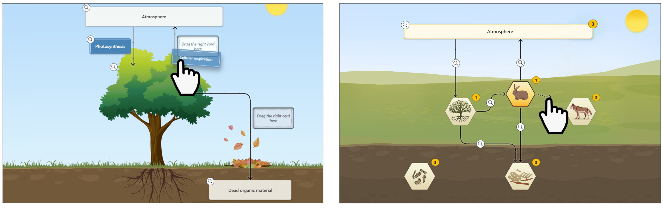 Two-panel comparison of educational diagrams related to the carbon cycle. Panel A: Shows a tree with labels for processes like photosynthesis and cellular respiration, along with a simplified depiction of how carbon moves from the atmosphere to dead organic material in the soil. Interactive elements, such as drag-and-drop boxes, indicate an educational activity where learners identify and place correct labels. Panel B: Presents a more interactive approach with hexagonal icons representing different organisms, such as a rabbit and microorganisms, showing their roles in the carbon cycle. The diagram appears to engage users in a learning activity by allowing them to select and link different components of the cycle.